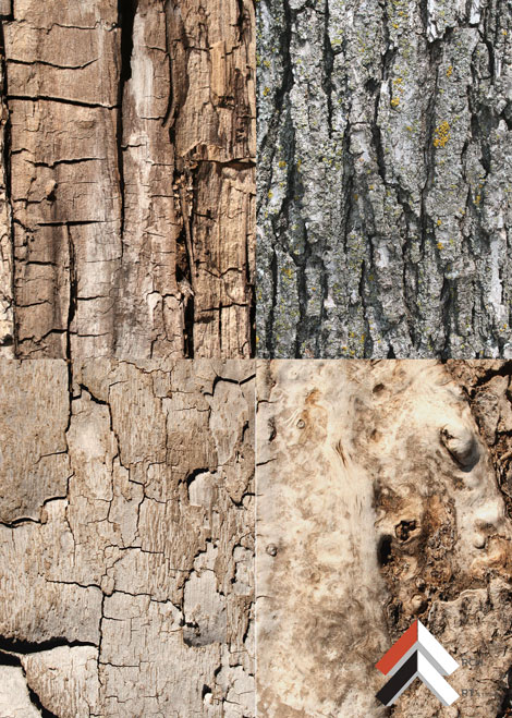 1552885055 designtnt textures bark 1